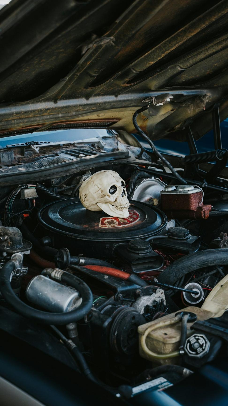 Diagnostic Technician